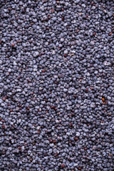 Top view of dry Poppy seeds
