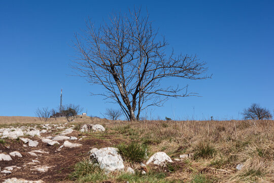 The peak of Slavnik