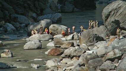 seagulls on the beach