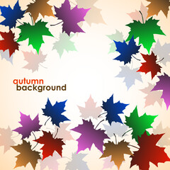 Autumn background of maple leaves. Colorful image