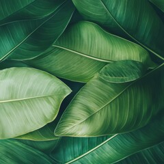 Obraz premium Lush Green Leaves
