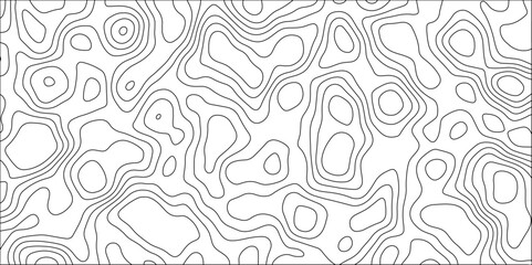 Contour map background. Geography scheme and terrain. Topography grid map. Stylized topographic contour map. Geographic line mountain relief. Abstract lines or wavy backdrop background.	
