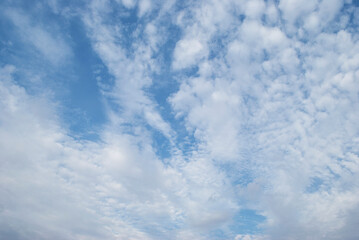 Obraz premium gentle white clouds in the blue sky