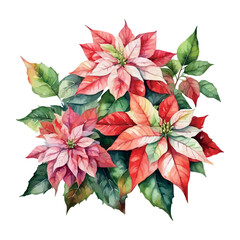 Christmas bouquets arranged from red poinsettia flowers. Happy holiday greenery. Watercolor style set