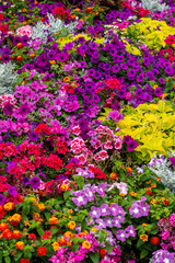 Obraz premium a floral wallpaper