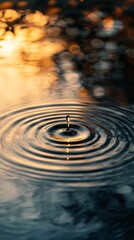 Water droplet causing ripples on calm water