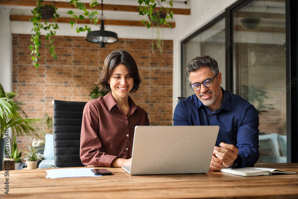 Wall mural business team of two happy busy professionals working together using laptop looking at computer. mal