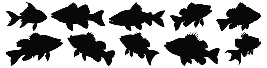 Fish silhouettes set, aquatic pack of vector silhouette design, isolated background