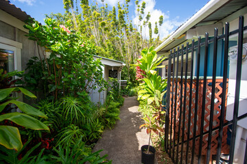 Makawao, Maui - a village full of Galleries and known for its cowboys - view of a street
