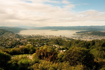 view of wellington city