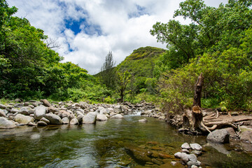 Iao valley state park in Maui, Hawaii in summer 2024