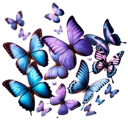 monarch butterflies, purple, blue, pink; ; isolated on transparent background PNG