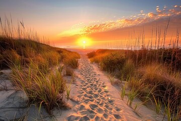 A winding path leads to the beach as the sun sets in the background