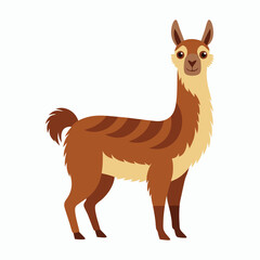 vector Llama Peru Vector on white background