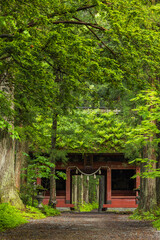 日本　長野県長野市にある戸隠神社の奥社参道と随神門