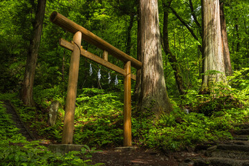 日本　長野県長野市にある戸隠神社の奥社の参道沿いにある飯縄社の鳥居