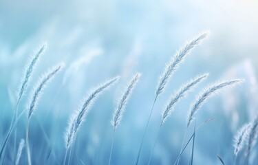 Obraz premium Tall Grass Swaying in the Breeze with a Blurred Background of Sky and Clouds, Capturing Delicate Textures Against Soft Blue Tones of Dawn or Dusk