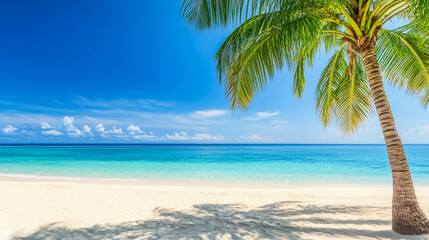 Obraz premium Tropical sea beach scene with clear turquoise water, white sandy shore and palm trees under a bright blue sky on a sunny day