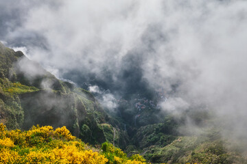 Aerial drone view of Curral das Freiras village from Miradouros do Paredao with blooming yellow Cytisus shrubs, Madeira island, Portugal