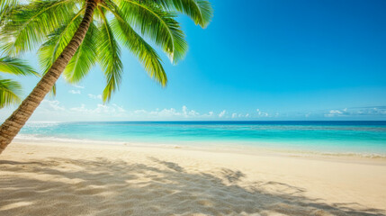Tropical sea beach scene with clear turquoise water, white sandy shore and palm trees under a bright blue sky on a sunny day