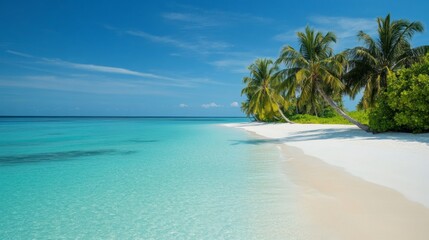Fototapeta premium Tropical sea beach scene with clear turquoise water, white sandy shore and palm trees under a bright blue sky on a sunny day