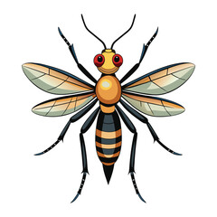 vector beautiful mosquito illustration on white background