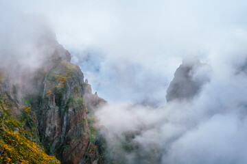 Obraz premium A mountain covered in fog and clouds with blooming Cytisus shrubs. Near Pico de Arieiro , Madeira island, Portugal