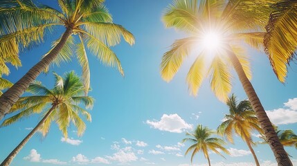 Tropical sun shining brightly over a palm-lined beach, warm weather, summer vibes