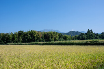 Fototapeta premium 日本の鳥取県の美しい晩夏の大山