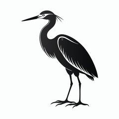 Obraz premium vector Bittern on white background