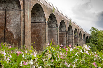 Obraz premium old bridge in the countryside