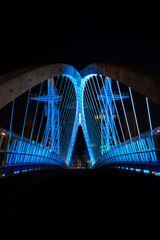 bridge over the river