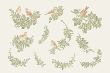 Fototapeta premium Set with birds and flowering branches