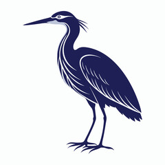 Obraz premium vector Bittern on white background