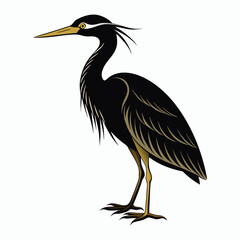 Fototapeta premium vector Bittern on white background