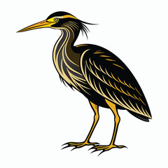 vector Bittern on white background