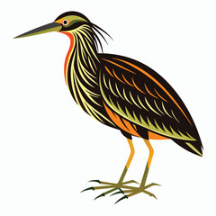 vector Bittern on white background