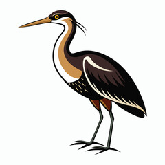 Obraz premium vector Bittern on white background