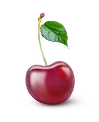 cherry with leaf isolated on white background.
