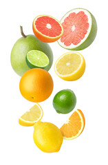 citrus fruits isolated on white