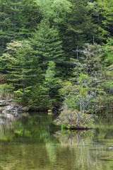 日本　長野県松本市安曇にある山岳景勝地の上高地　穂高神社奥宮神域の明神池の二之池