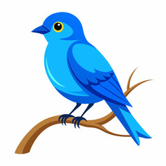 a blue bird on a branch vector illustration