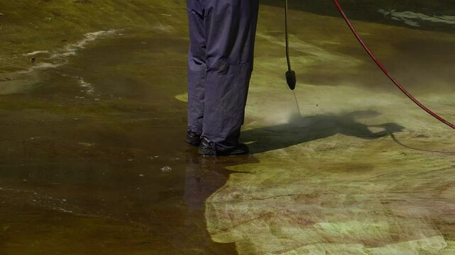 Cleaning the enclosure, a zoo worker cleans the enclosure of marine animals with a high pressure washer