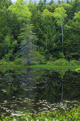 日本　長野県松本市安曇の乗鞍高原にある牛留池