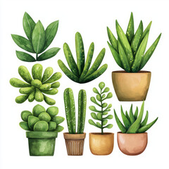 A vibrant succulent garden featuring various shapes and sizes of green plants in decorative pots.