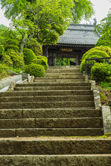 日本　長野県松本市にある牛伏寺の山門へと向かう参道
