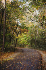 Autumn Walk in the Park