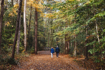 Obraz premium Couple walking on an Autumn Day at the parkl