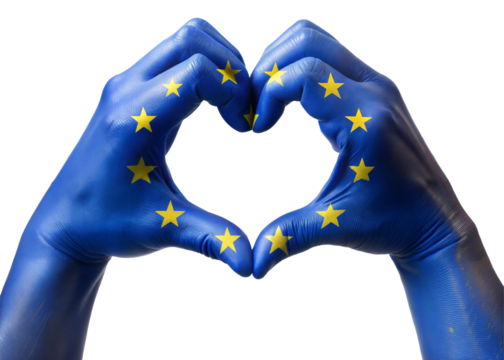 european union flag