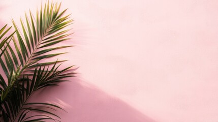 Palms cast delicate shadows on a pastel pink wall, creating a serene atmosphere in soft, warm light